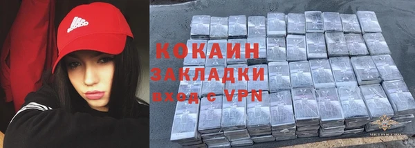 шишки Гусев