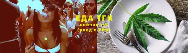 шишки Гусев