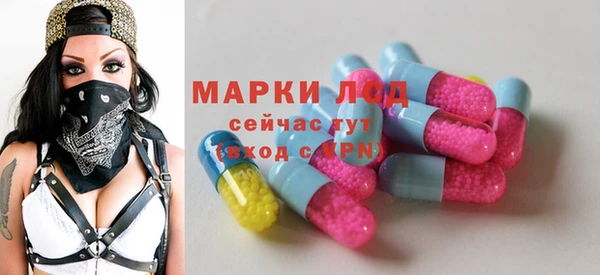 шишки Гусев