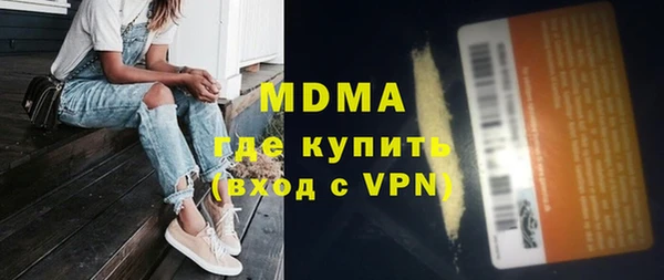 шишки Гусев