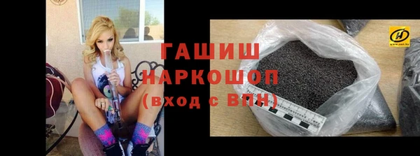 шишки Гусев