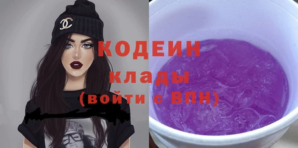 шишки Гусев