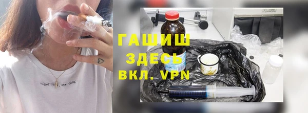 шишки Гусев