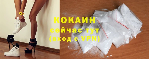 шишки Гусев