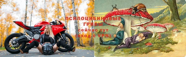 альфа пвп Гусь-Хрустальный