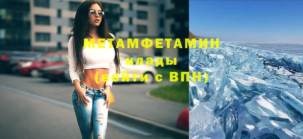 шишки Гусев